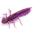 Dragonfly 1.7