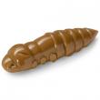 Pupa 1.5
