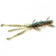 Shrimp 3