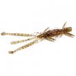 Shrimp 3
