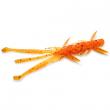 Shrimp 3