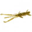 Shrimp 3